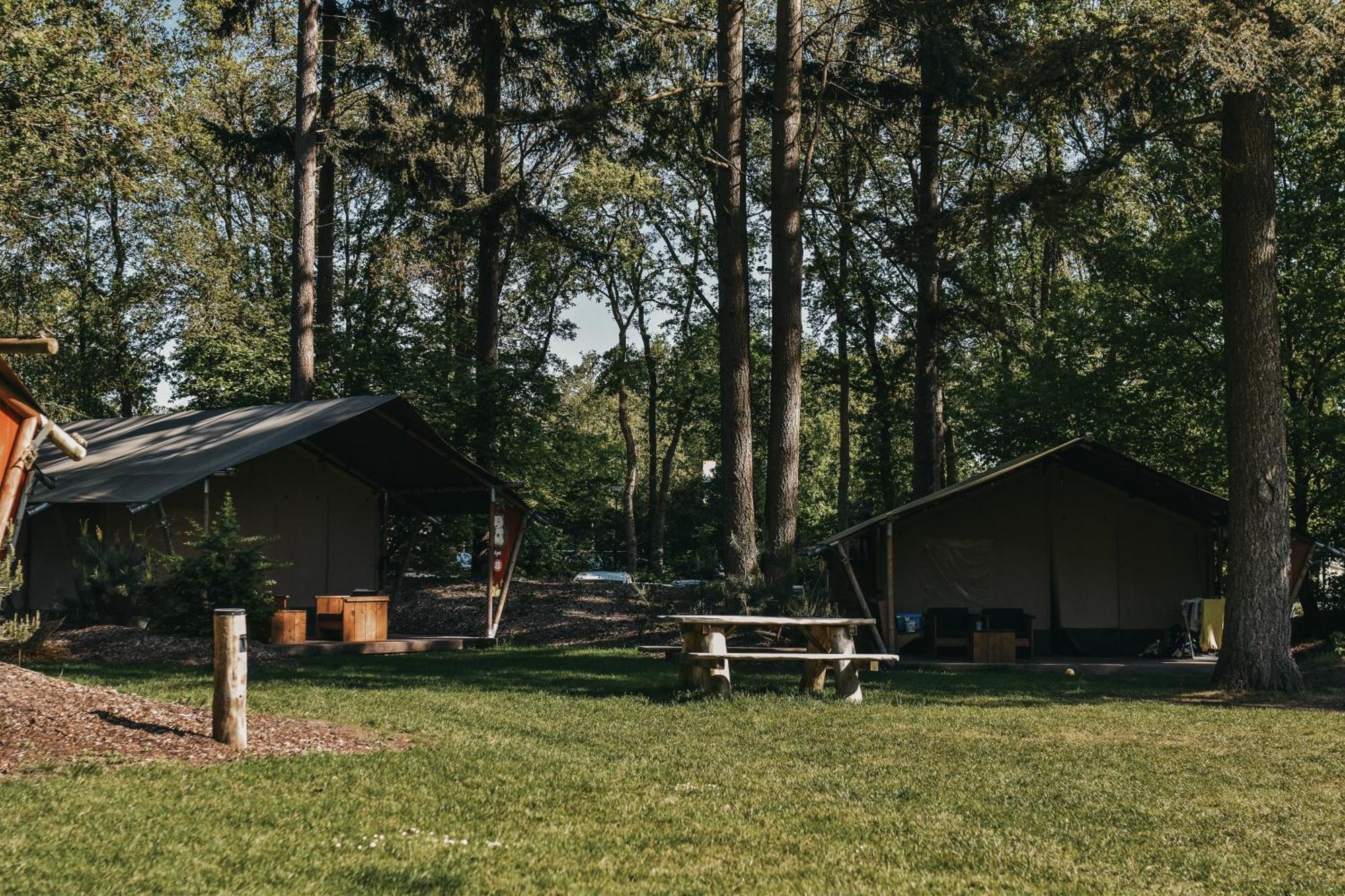 Camping Het Horstmannsbos Hotell Gasselte Eksteriør bilde